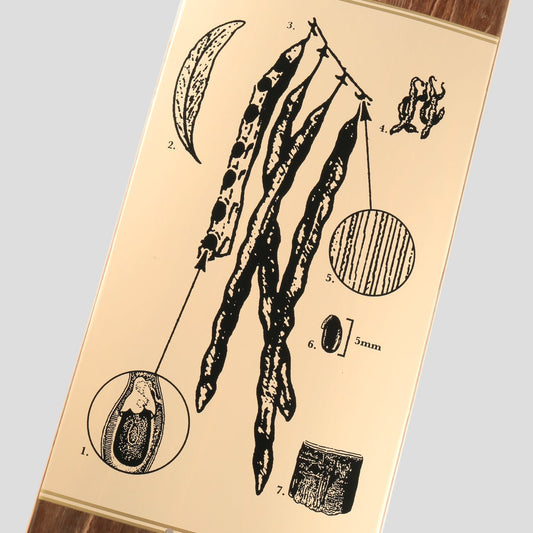 Passport Deck Callum Paul Acacia Pro Series 8.38" Pass~Port