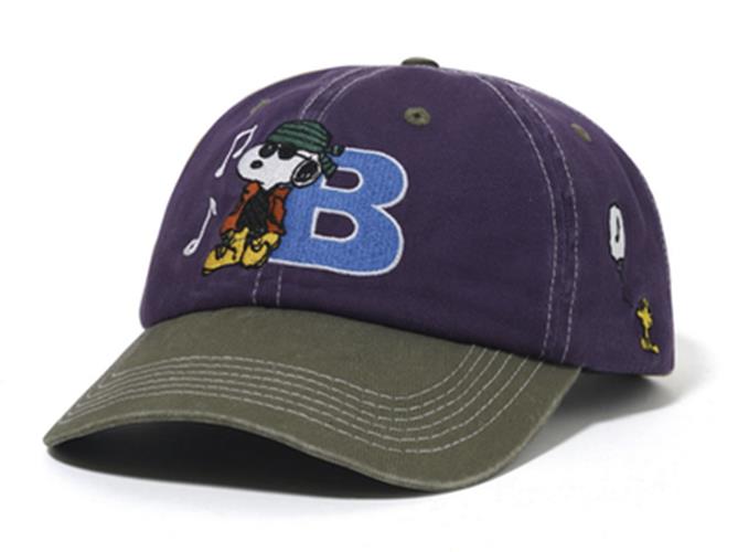 Butter Goods Music Snapback Purple Fern 6 Pane Cap 6 Panel Cap Buttergoods Hat