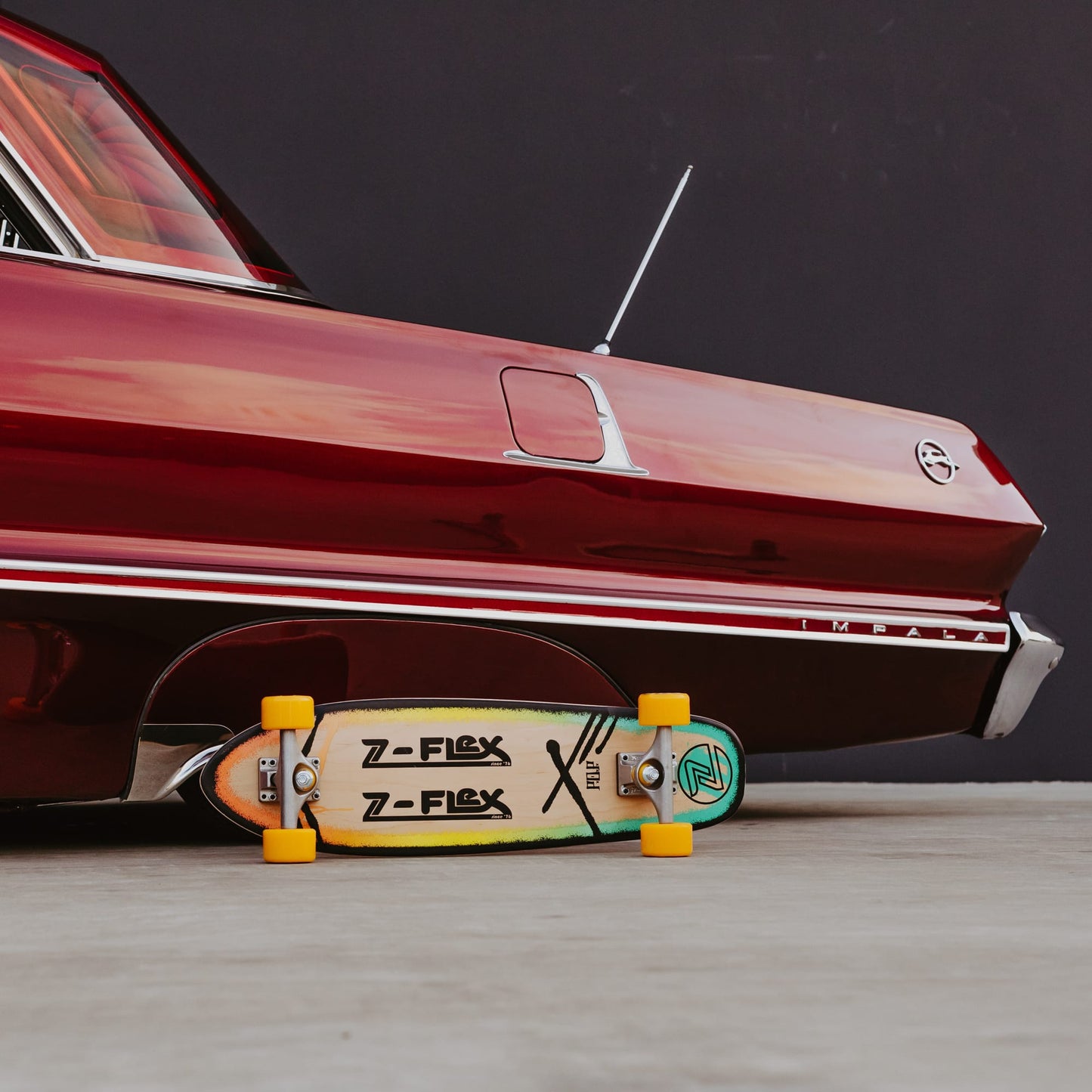 Z-Flex Skateboards P.O.P 27" Rasta
