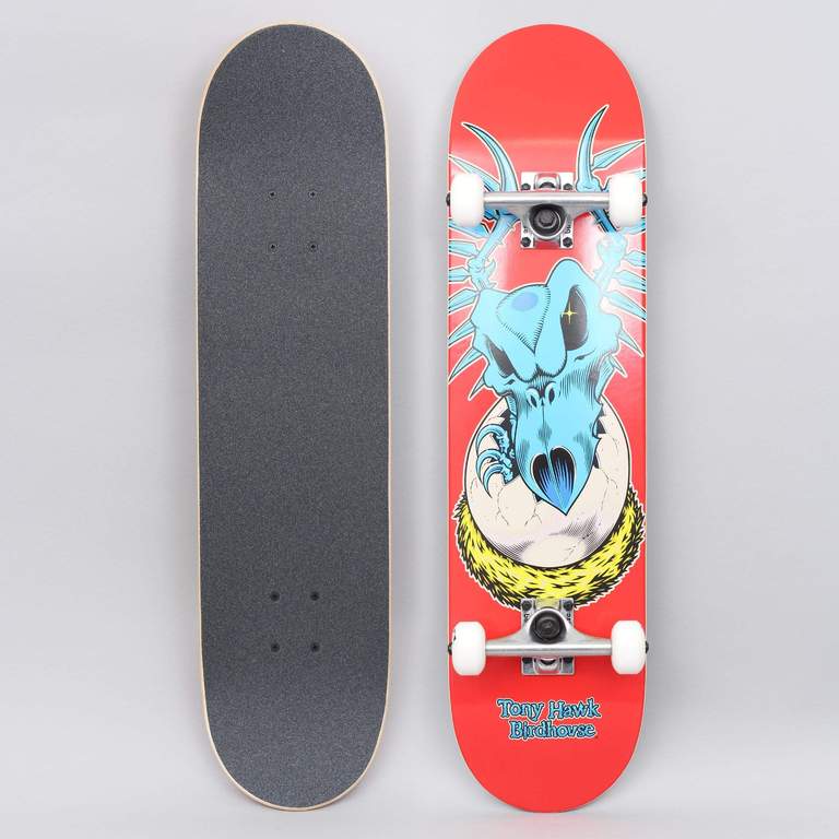 Birdhouse Tony Hawk Falcon Egg 7 75 Complete Skateboard