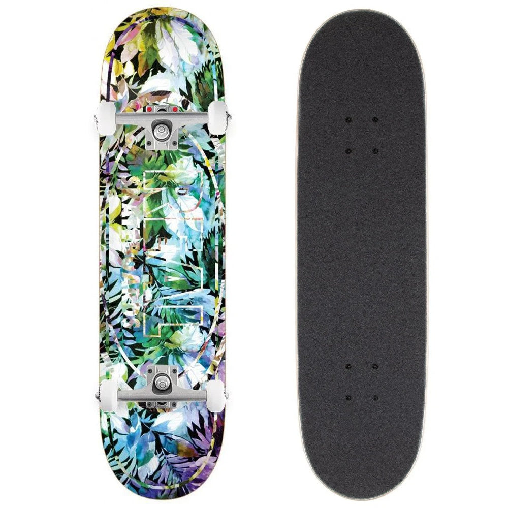 Real Complete Skateboard Tropical Dream Oval 8 5