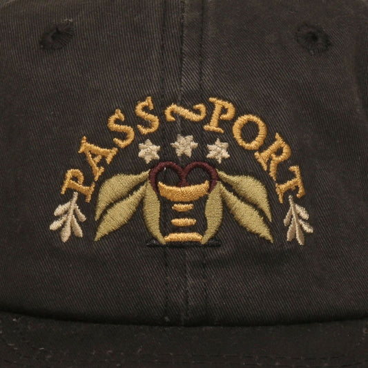 Passport Cap ARCHED EMBROIDERY Black 6 Panel StrapBack Pass port Skateboard Hat