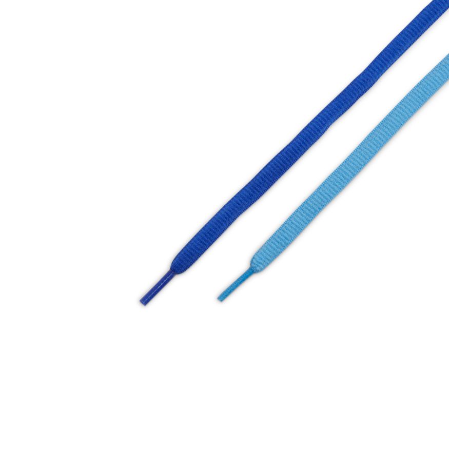 Nike SB Shoes Dunk Low Pro Blue Raspberry RACER/LASER US SIZE Skate Sneakers