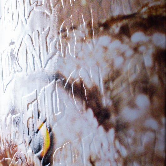 FA Skateboard Deck Owl Photo Jason Dill 8.38" Fkn Awesome