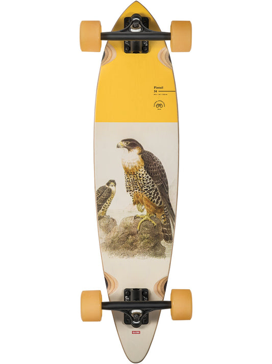 Globe Complete Skateboard Falcon Pintail 34" Longboard