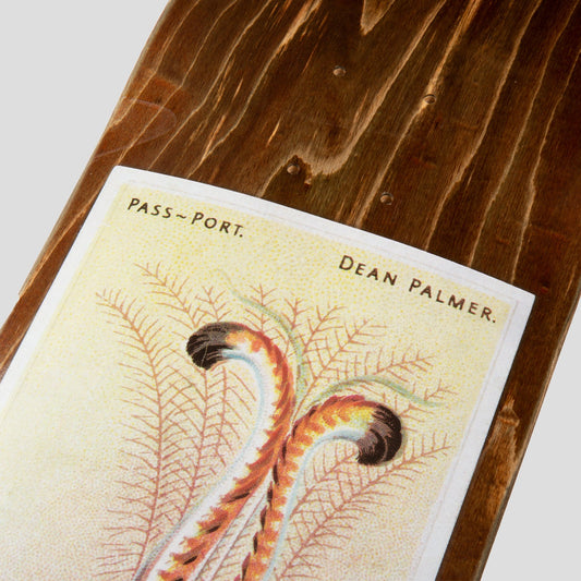 Passport Skateboard Deck Dean Palmer Lyrebird 8.38" Pass Port