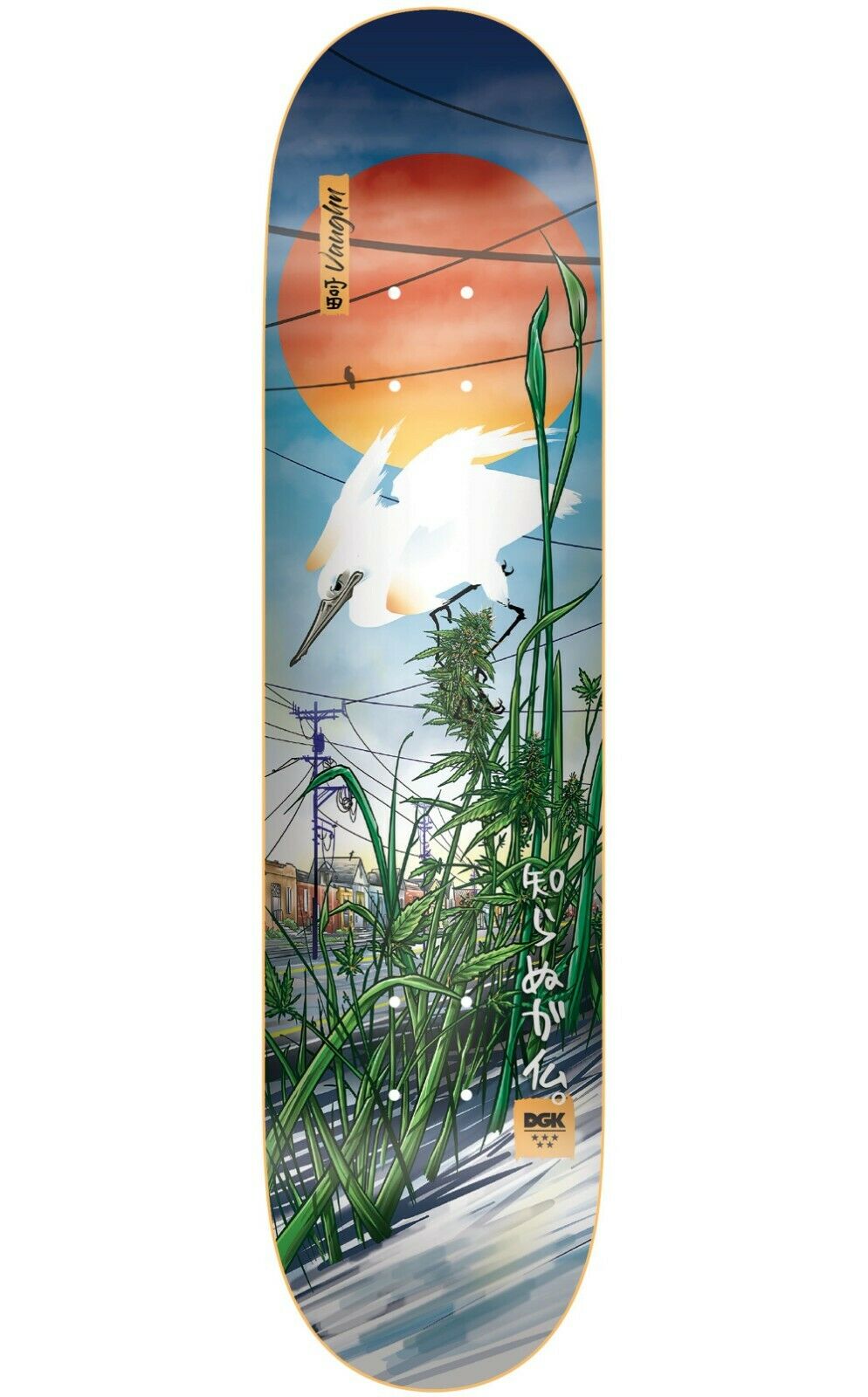 Dgk Skateboard Deck Prosperity Vaughn 8 Dirty Ghetto Kids