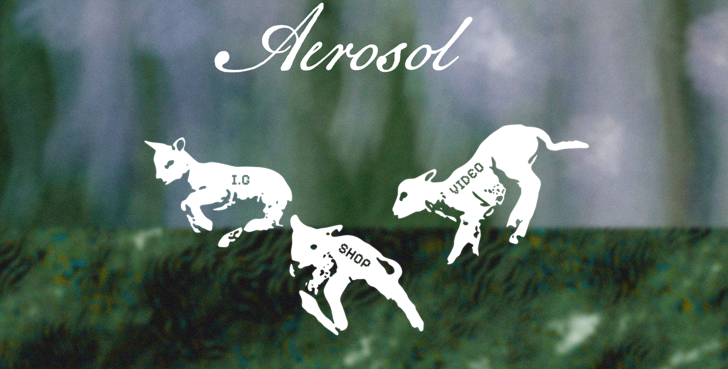 Aerosol Skateboards