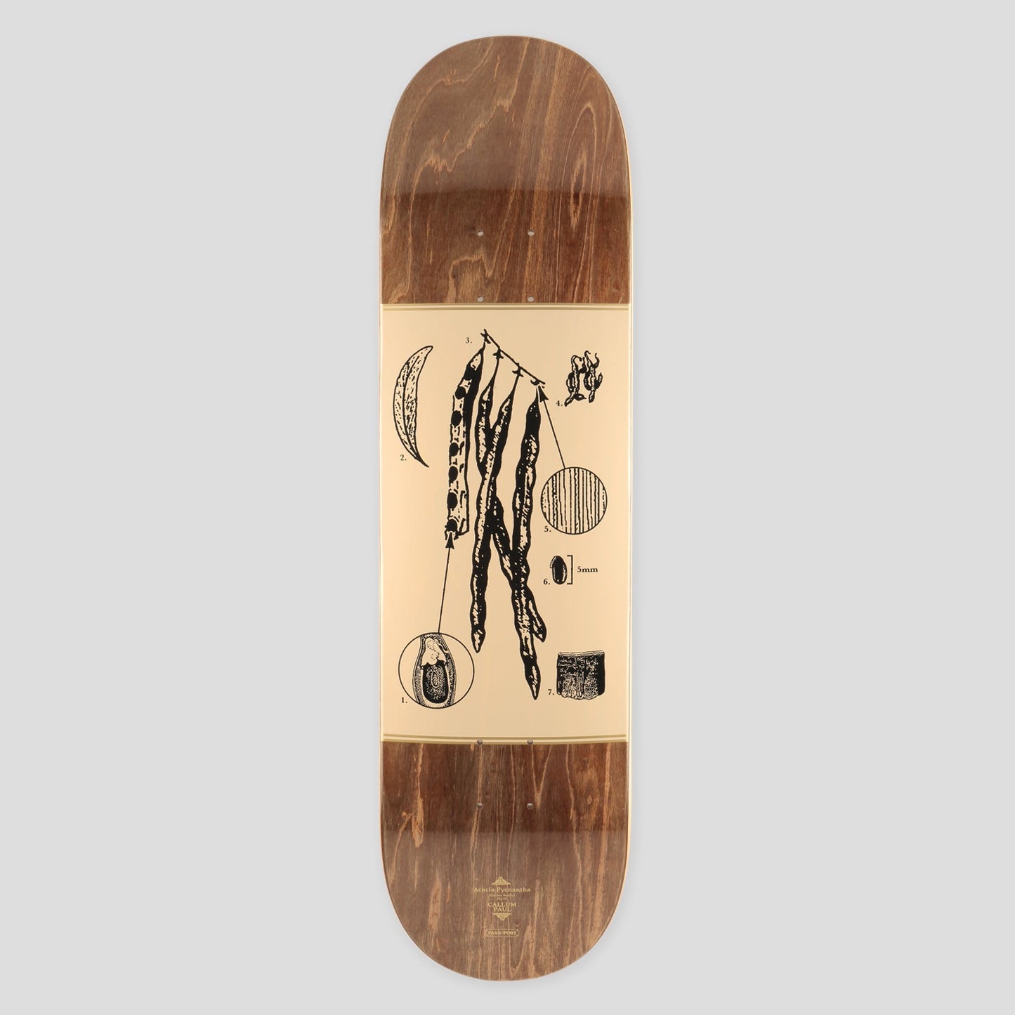 Passport Deck Callum Paul Acacia Pro Series 8.38" Pass~Port