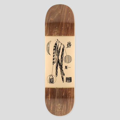 Passport Deck Callum Paul Acacia Pro Series 8.38" Pass~Port