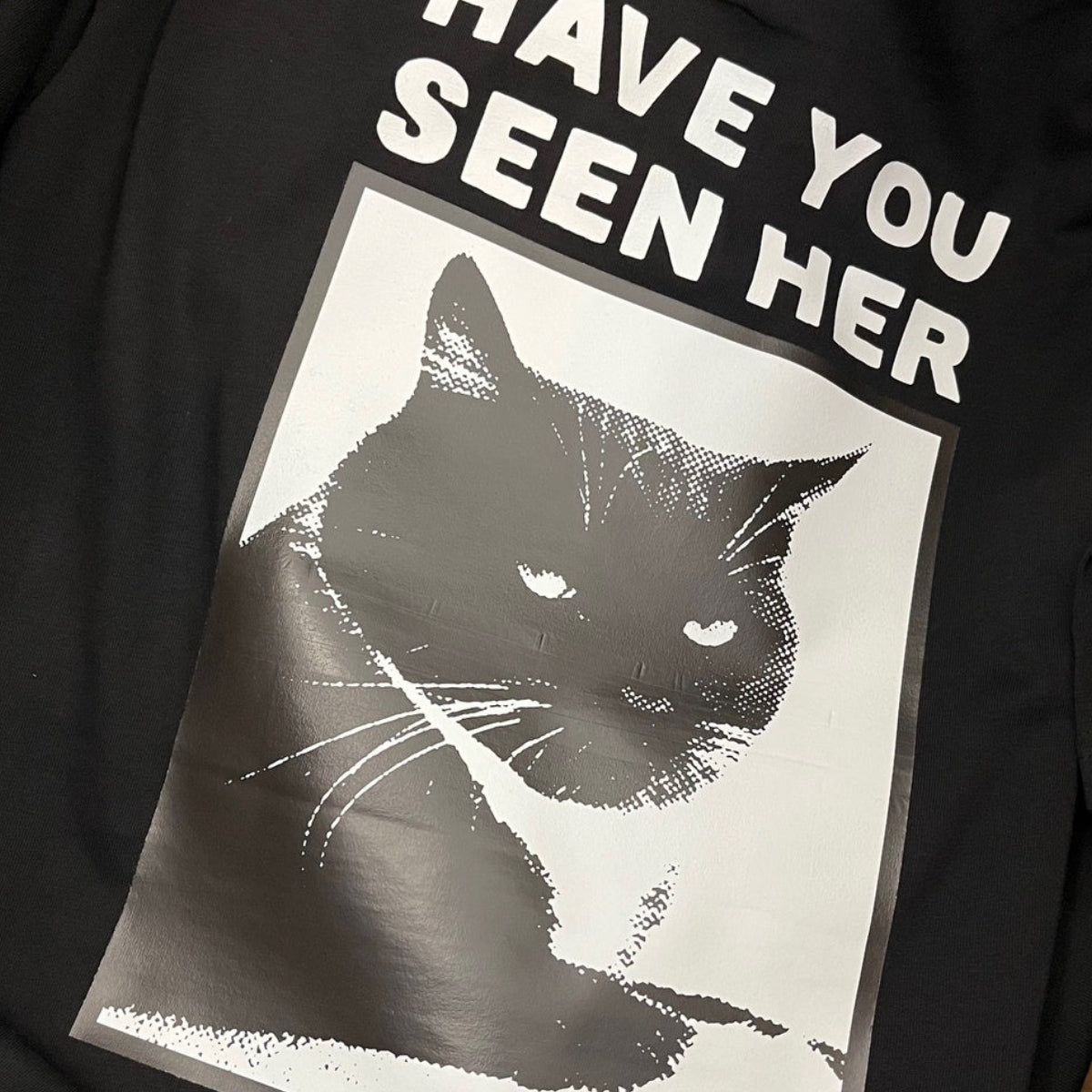 Back Zoom view of a black short-sleeve T-shirt laid flat, featuring a large graphic print of a black cat inside a white rectangular frame with the text 'HAVE YOU SEEN HER' in white above it.