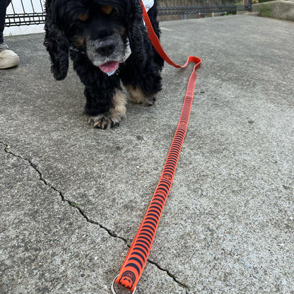 Spitfire Wheels Dog Lead Bighead Crescent Orange Leash