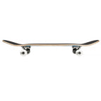 Birdhouse Tony Hawk Oversized Skull 7 25 Mini Youth Complete Skateboard