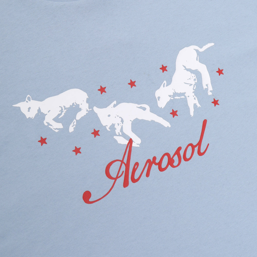 Aerosol Skateboards Frolic Tee Baby Blue