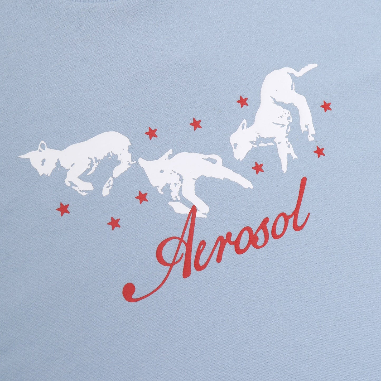 Aerosol Skateboards Frolic Tee Baby Blue