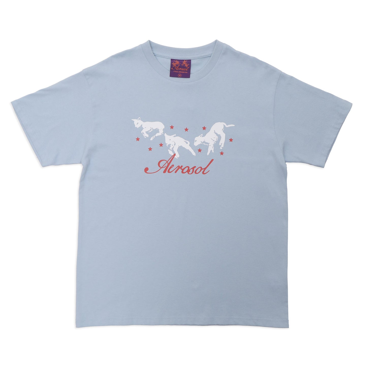 Aerosol Skateboards Frolic Tee Baby Blue