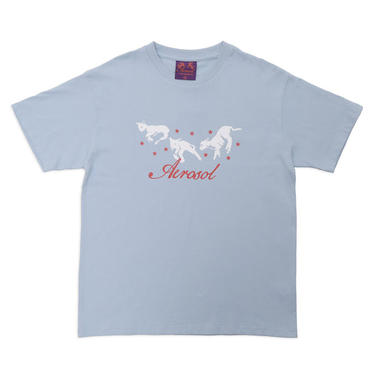 Aerosol Skateboards Frolic Tee Baby Blue
