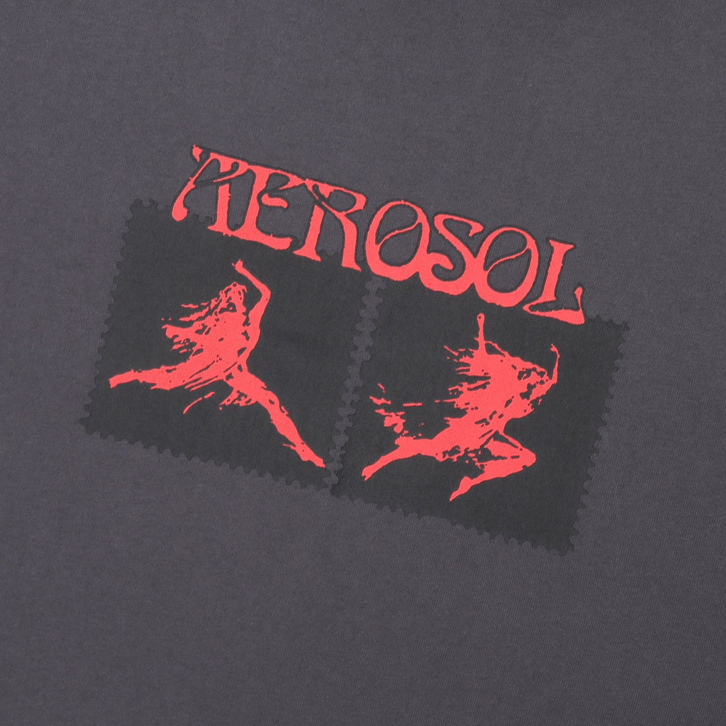 Aerosol Skateboards Affinity Tee Grey