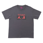 Aerosol Skateboards Affinity Tee Grey