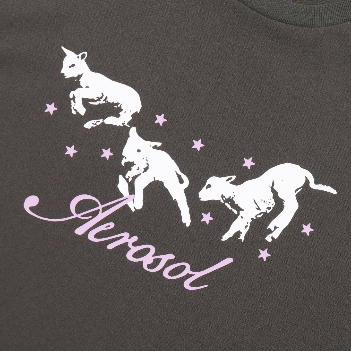 Aerosol Skateboards Frolic Tee Grey