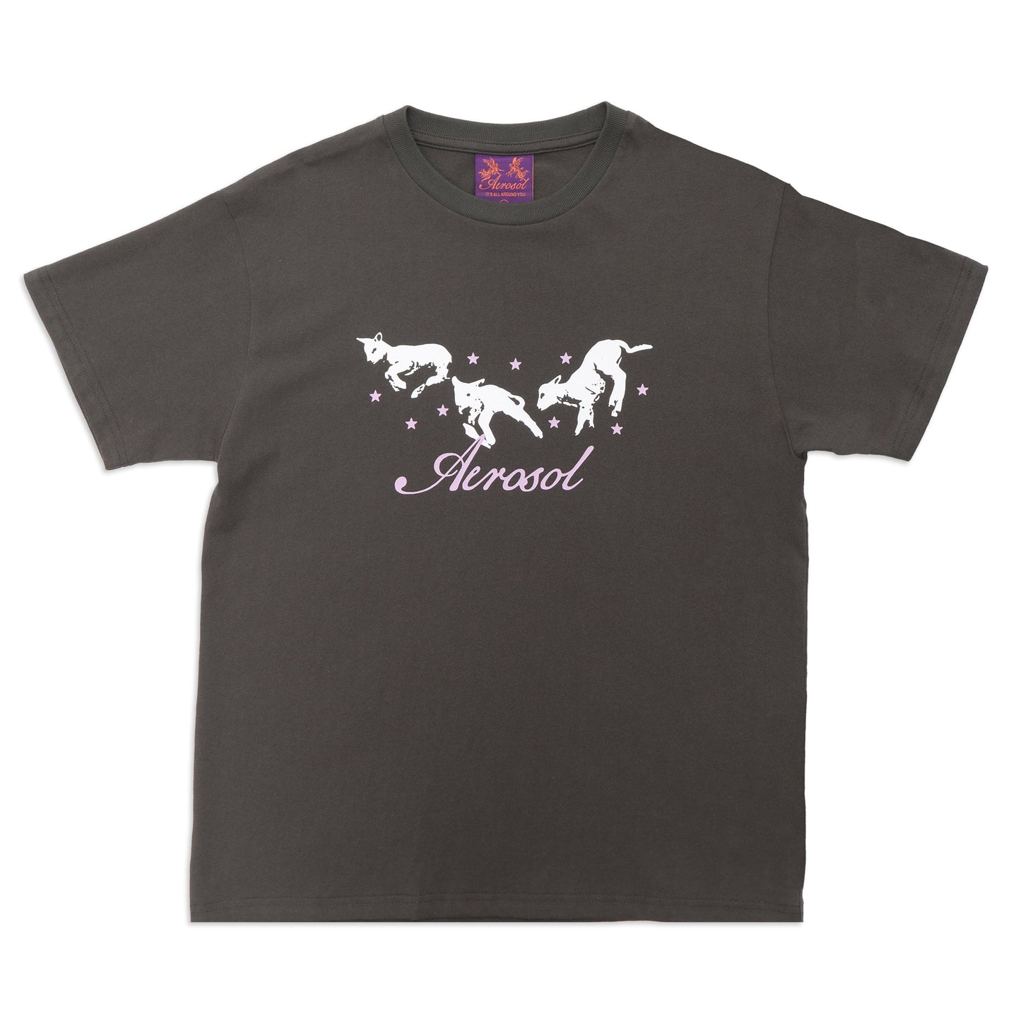 Aerosol Skateboards Frolic Tee Grey