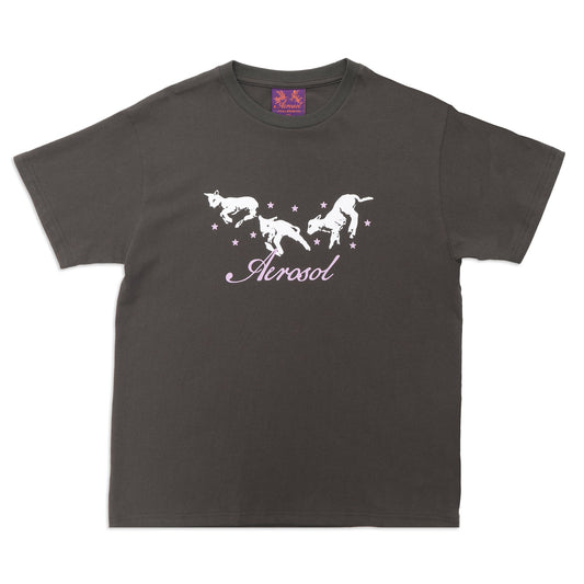 Aerosol Skateboards Frolic Tee Grey