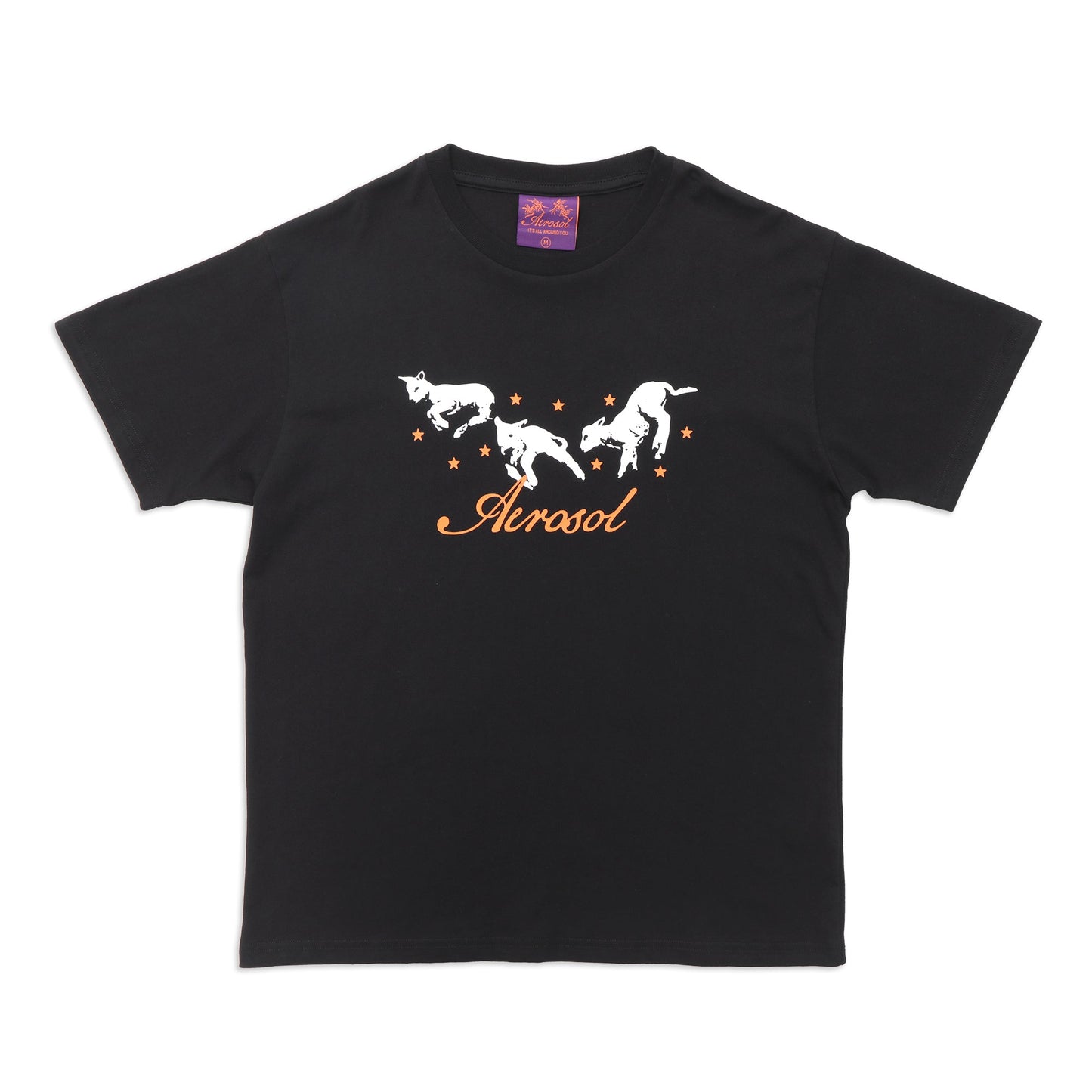 Aerosol Skateboards Frolic Tee Black