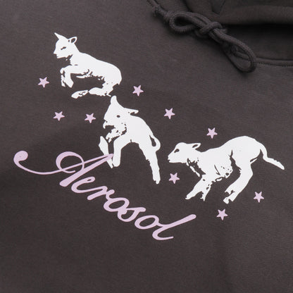Aerosol Skateboards Frolic Hoodie Grey