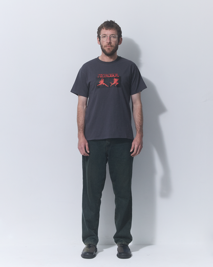 Aerosol Skateboards Affinity Tee Grey