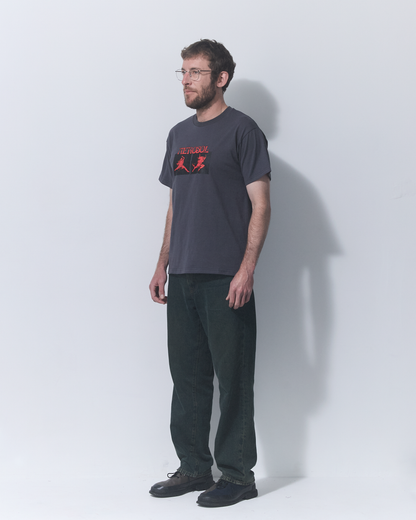Aerosol Skateboards Affinity Tee Grey