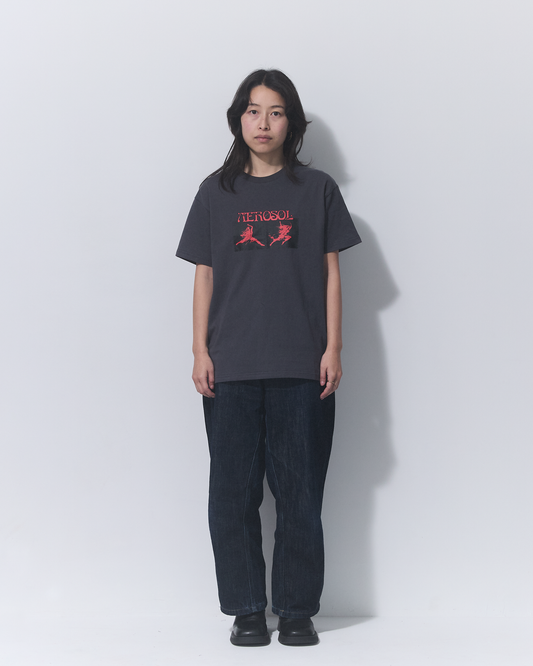 Aerosol Skateboards Affinity Tee Grey