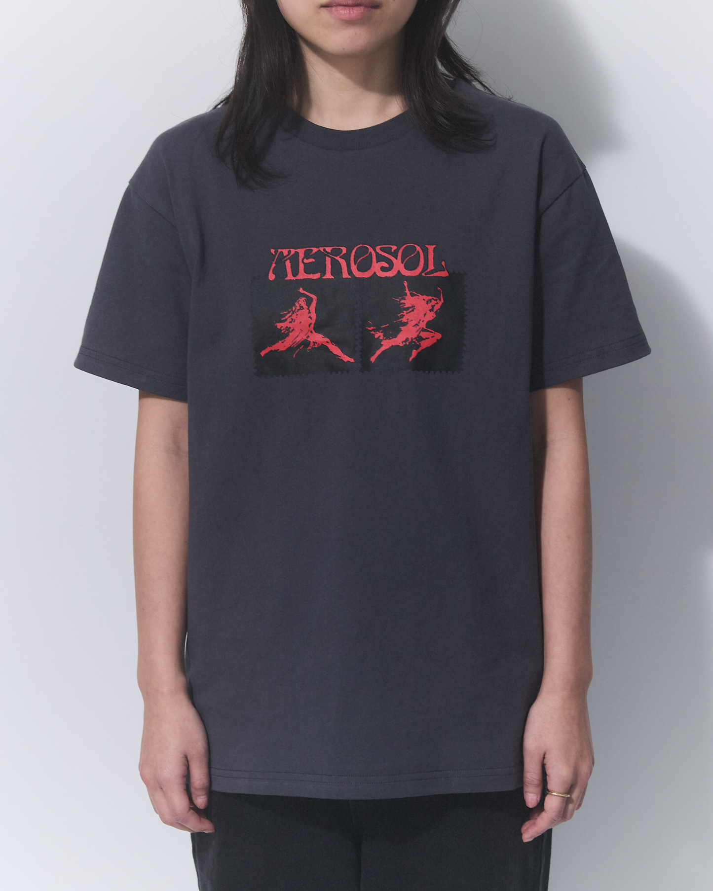 Aerosol Skateboards Affinity Tee Grey
