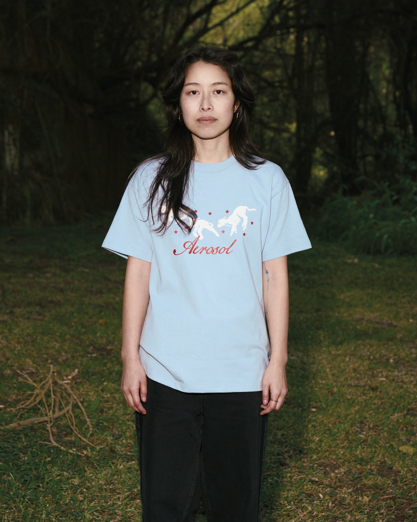 Aerosol Skateboards Frolic Tee Baby Blue