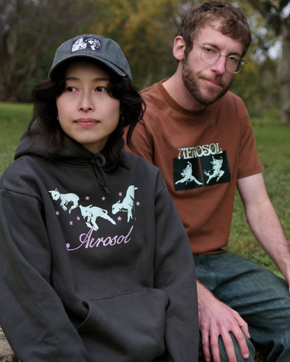 Aerosol Skateboards Frolic Hoodie Grey