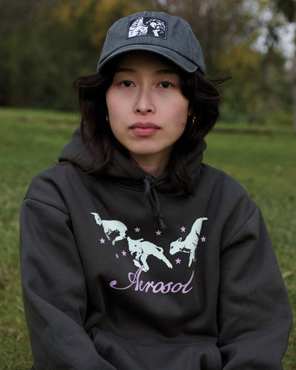 Aerosol Skateboards PC Hat Washed Black