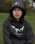 Aerosol Skateboards Frolic Hoodie Grey