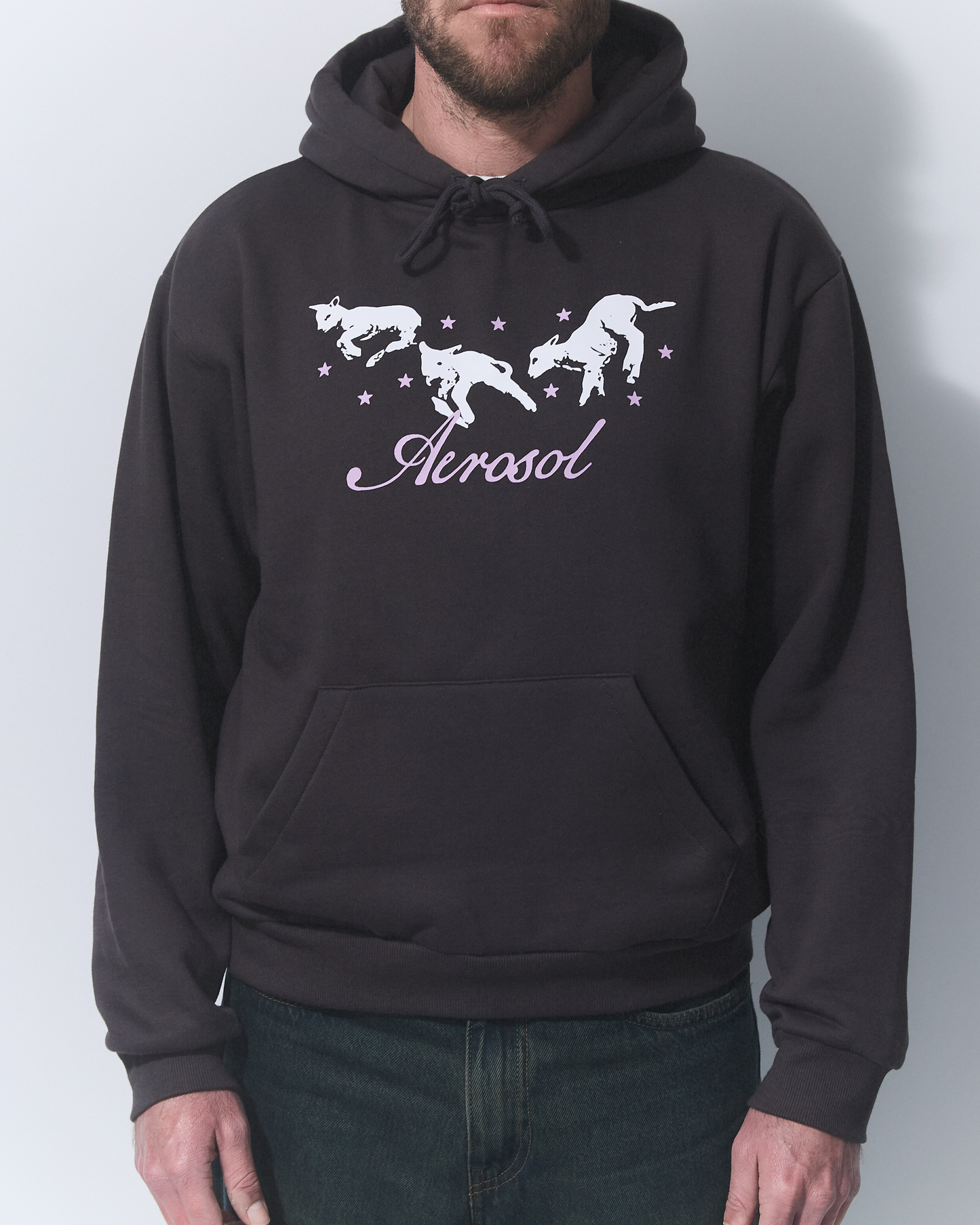 Aerosol Skateboards Frolic Hoodie Grey