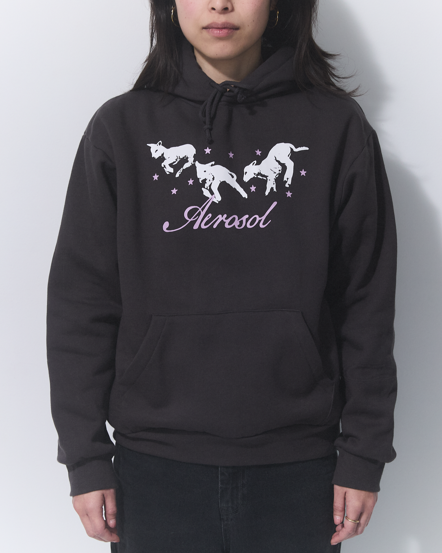 Aerosol Skateboards Frolic Hoodie Grey