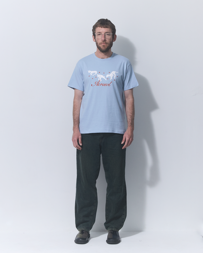 Aerosol Skateboards Frolic Tee Baby Blue