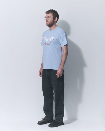 Aerosol Skateboards Frolic Tee Baby Blue