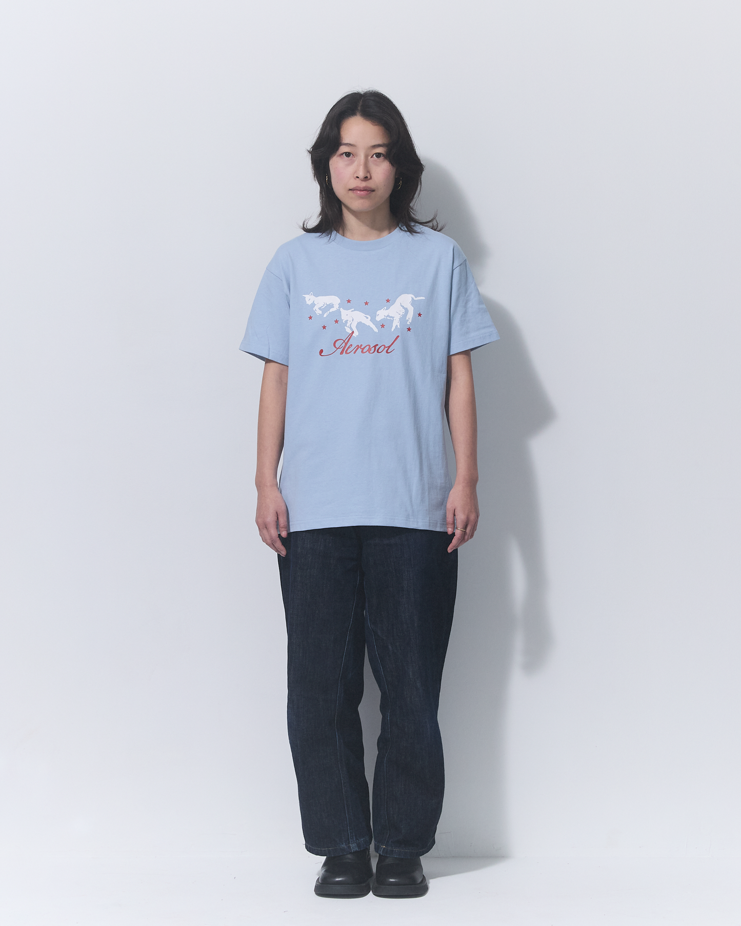 Aerosol Skateboards Frolic Tee Baby Blue