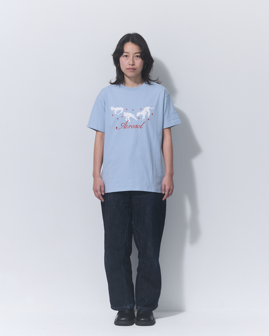 Aerosol Skateboards Frolic Tee Baby Blue