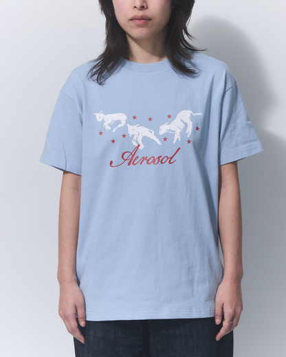 Aerosol Skateboards Frolic Tee Baby Blue