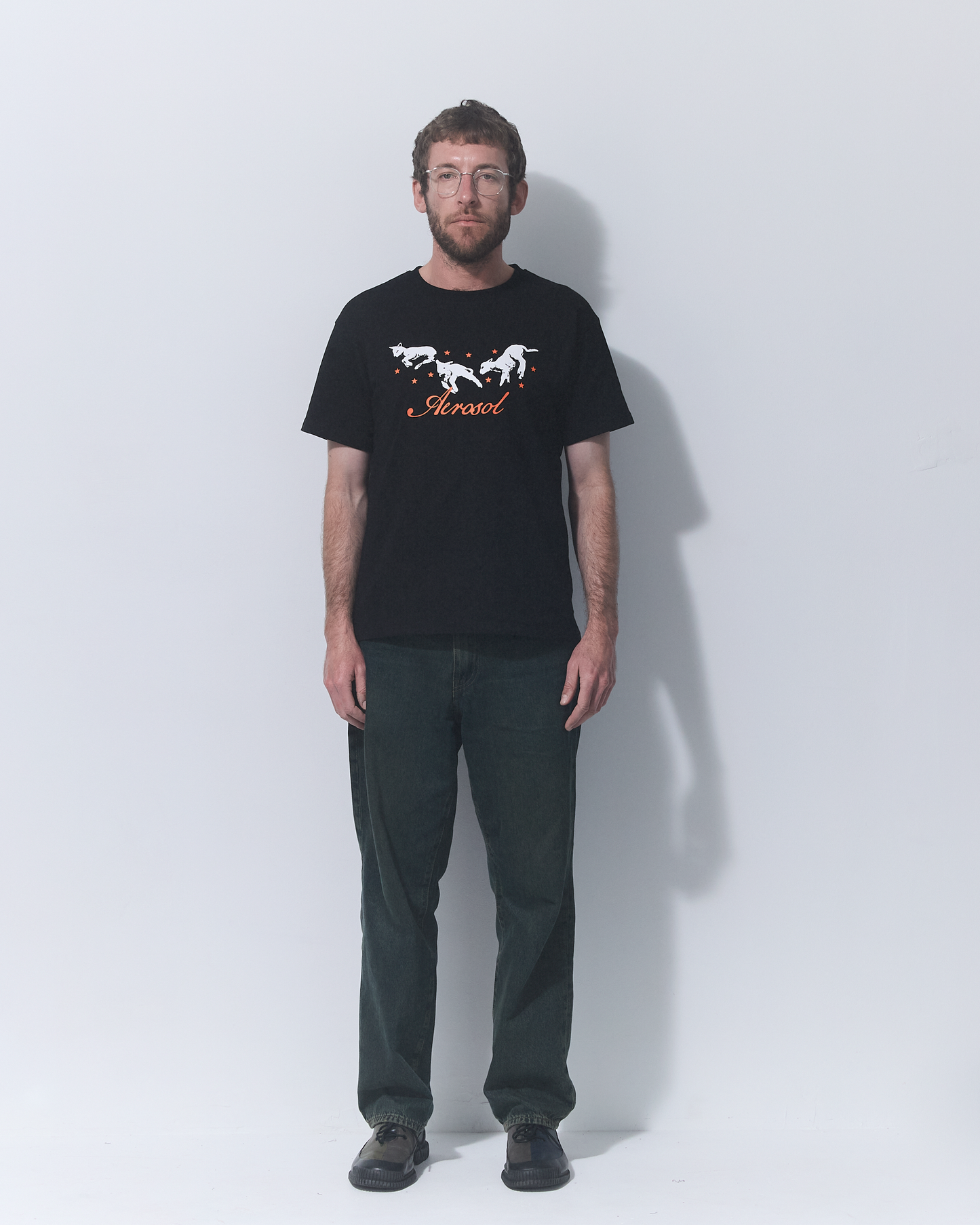 Aerosol Skateboards Frolic Tee Black