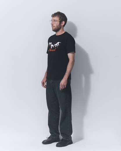 Aerosol Skateboards Frolic Tee Black