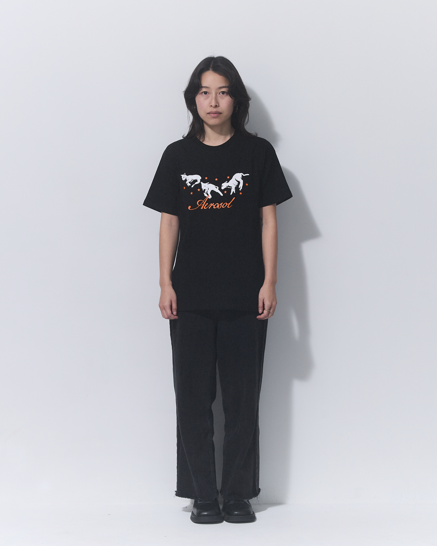 Aerosol Skateboards Frolic Tee Black