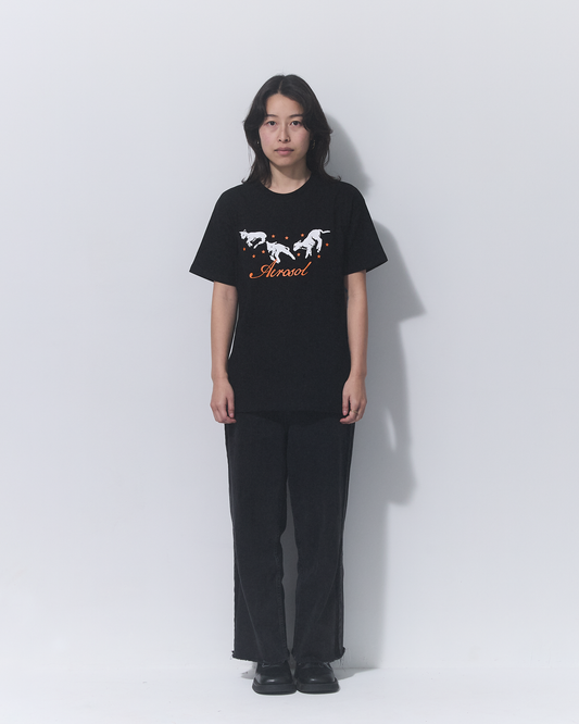 Aerosol Skateboards Frolic Tee Black