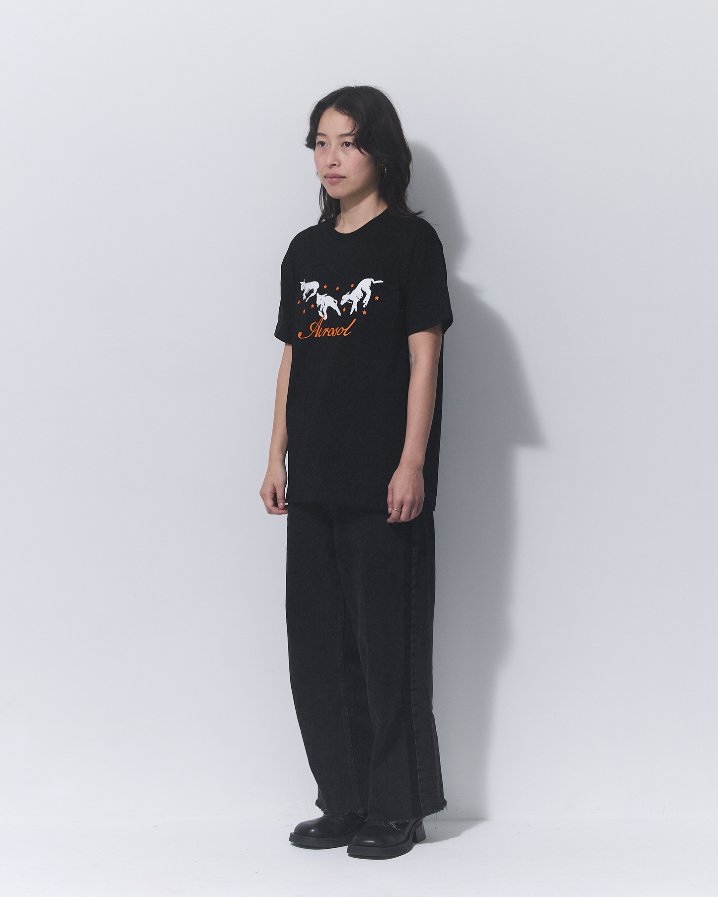Aerosol Skateboards Frolic Tee Black