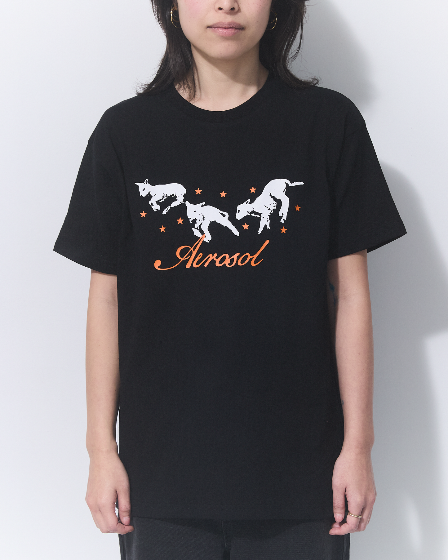 Aerosol Skateboards Frolic Tee Black