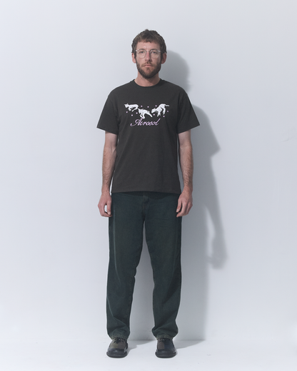 Aerosol Skateboards Frolic Tee Grey
